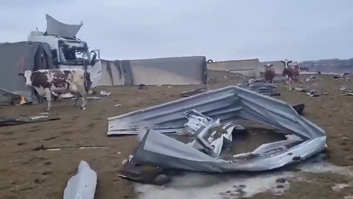 ロシア軍の攻撃の余波で破壊されたとされるウクライナの牧場の動画（キーフ・フイジンガ氏のツイッターより引用）