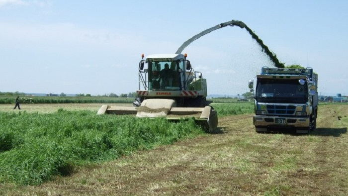 コントラクターによる牧草の収穫風景