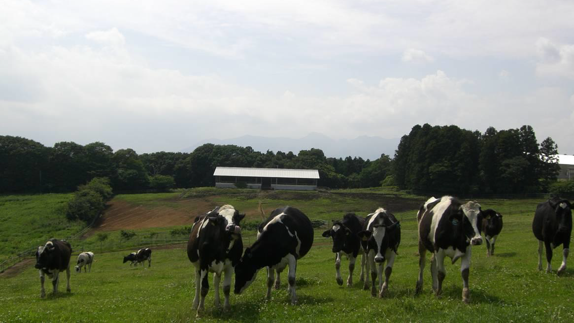 「MO-ラグーン for Dairy」を導入する那須岳麓農場
