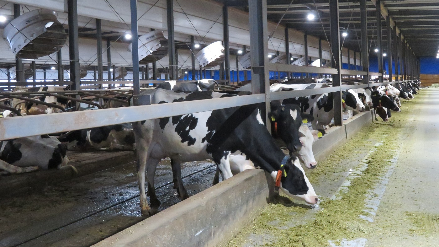 配合飼料据え置きも経営支援の継続求める声｜酪農乳業速報