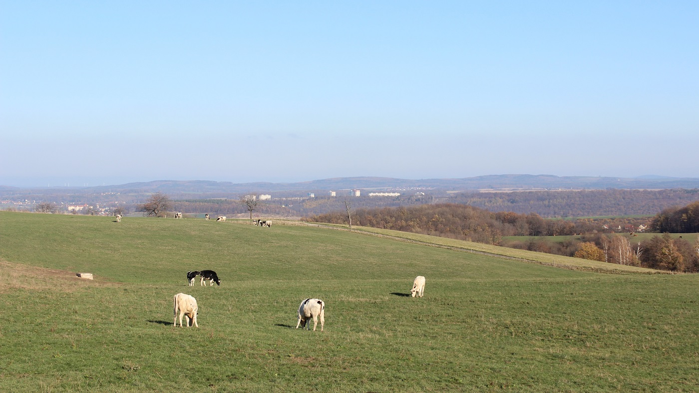 ドイツの酪農風景