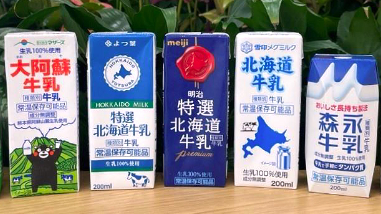 【希少品】敷物　未使用　水牛（バッファロー）　大型　本皮　カウラグ　一点もの 牛革 バッファロー型押し パール加工 レッド レザー - レザー