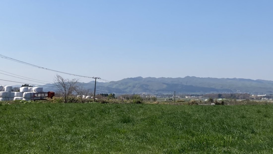 北海道の牧草地（5月上旬に道南地域で撮影）