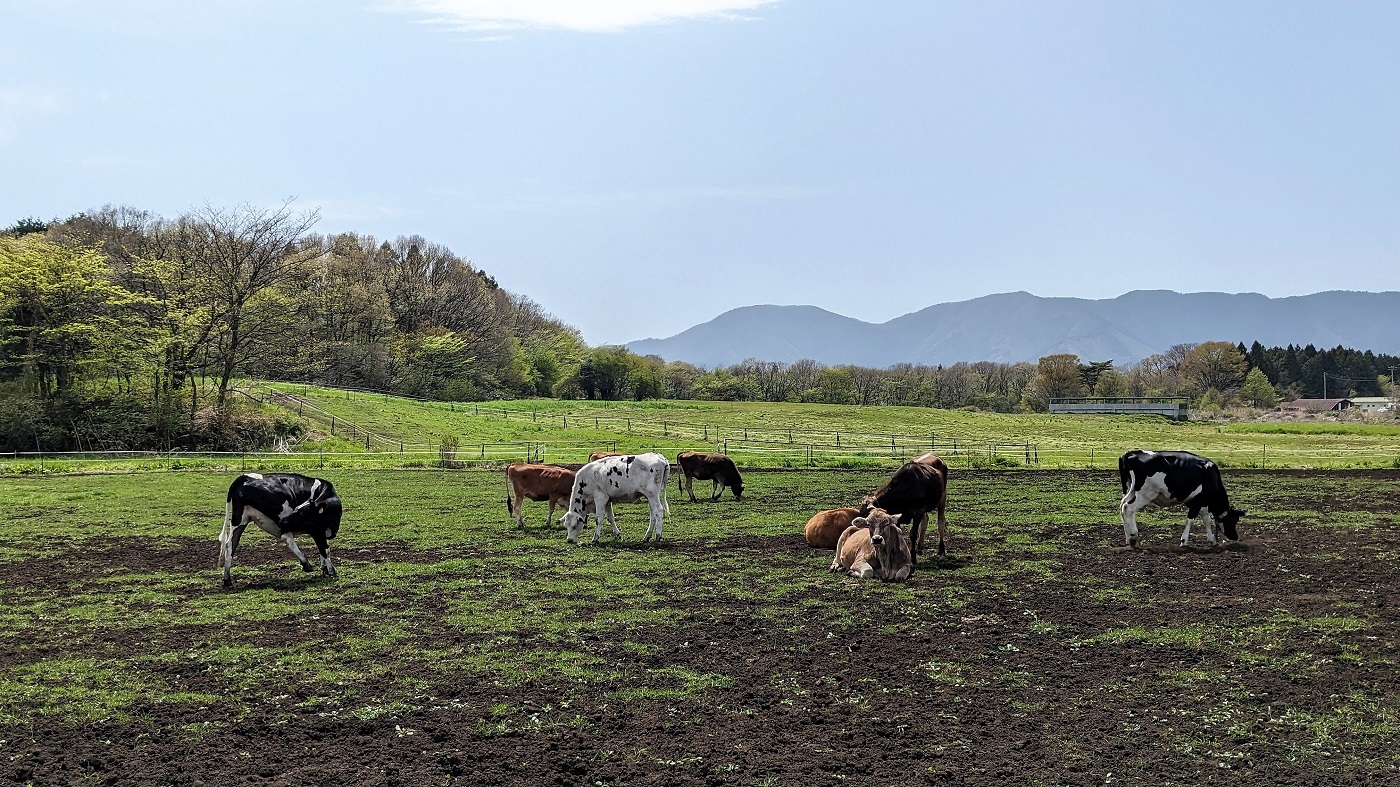 都府県の酪農風景