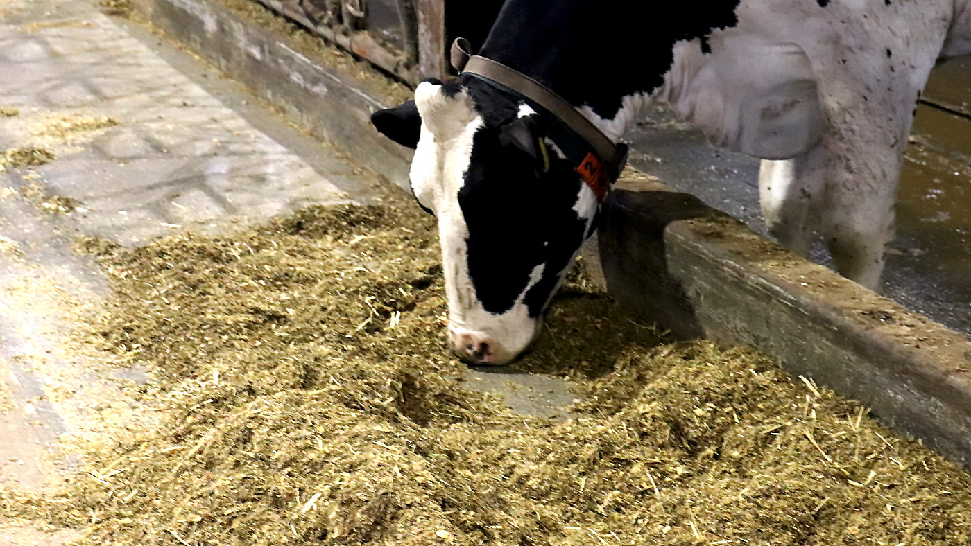 FATなどの乳成分は飼料設計や飼養管理にも左右される