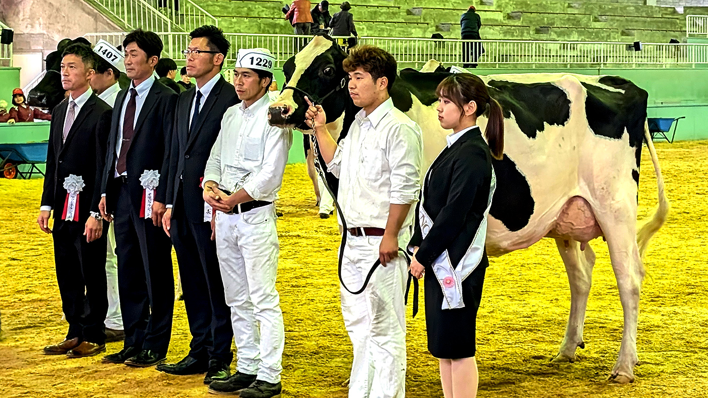 受賞牛のアポロ号と栗城一貴代表（右から3人目）