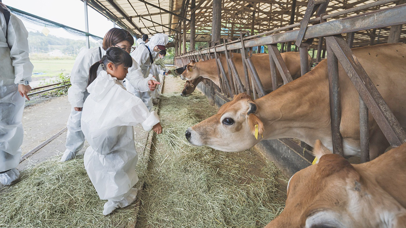 参加者は牛へのエサやり体験など、酪農漬けの1日を満喫した