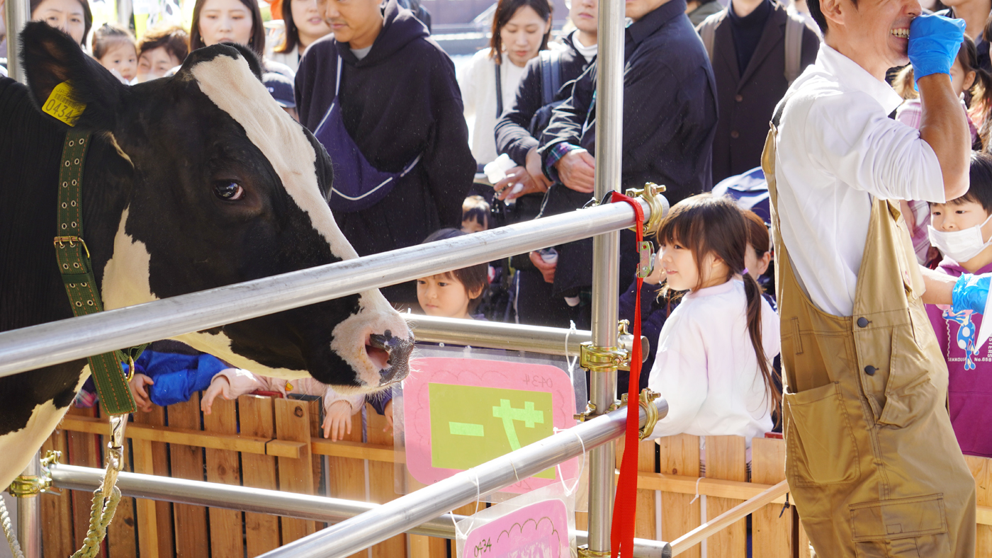 本物の牛を見ようと列をつくる来場者