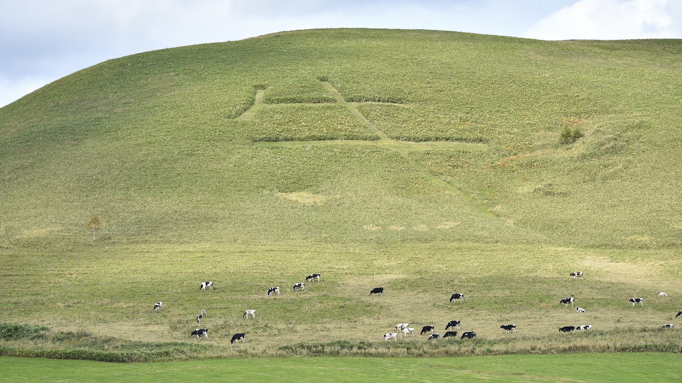 北海道の酪農風景