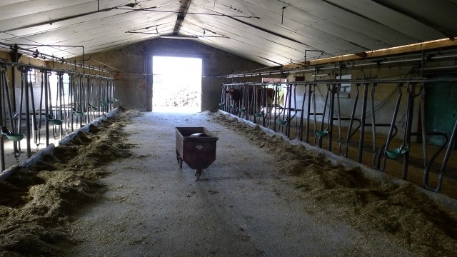 牛がいなくなり閑散とした牛舎