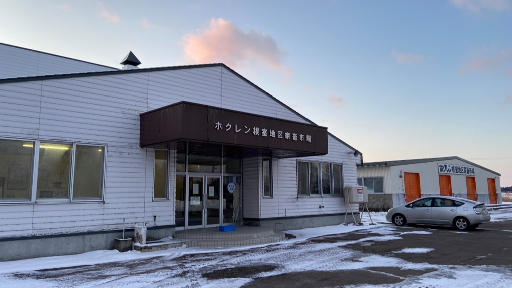 ホクレン根室家畜市場