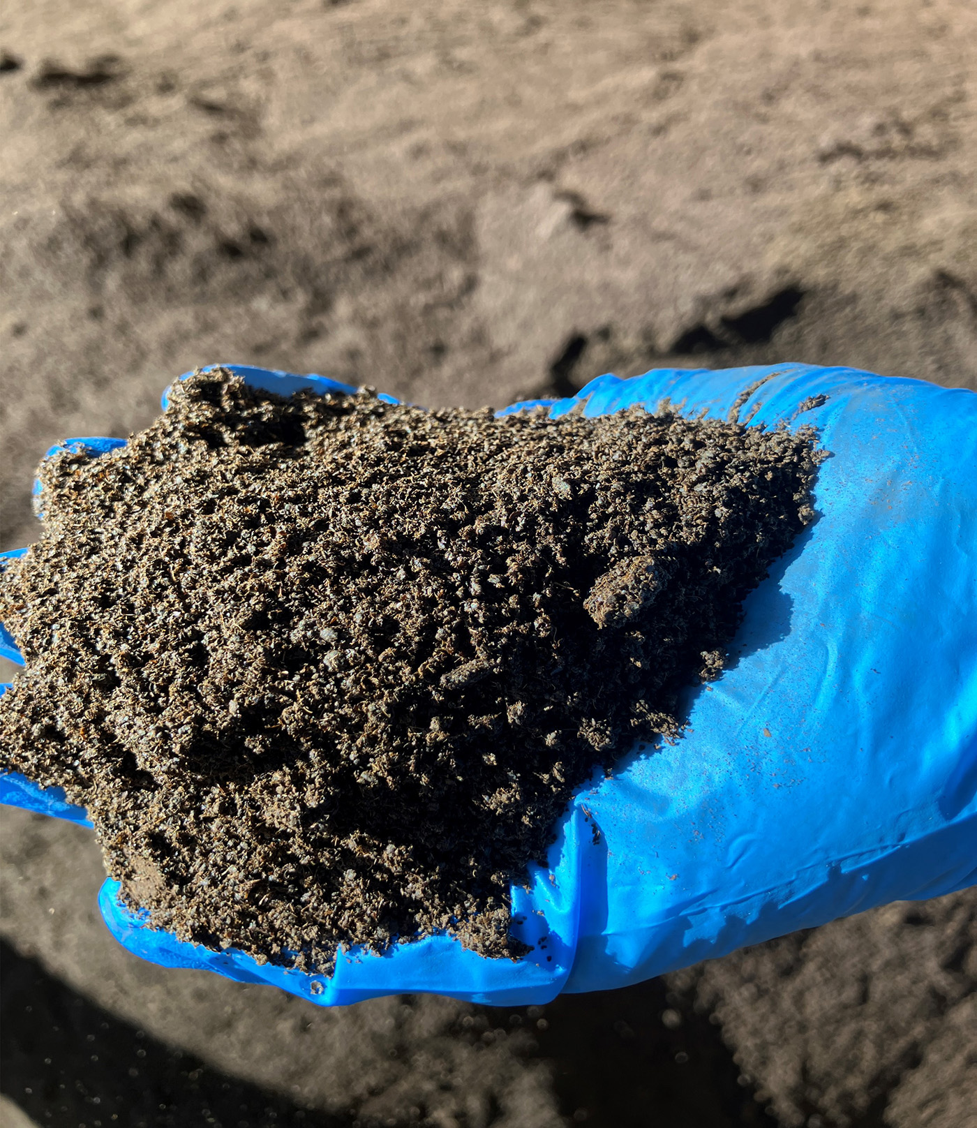 乾燥加工後の紅茶粕