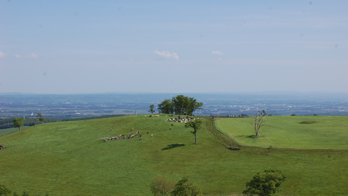 十勝の広大な酪農風景