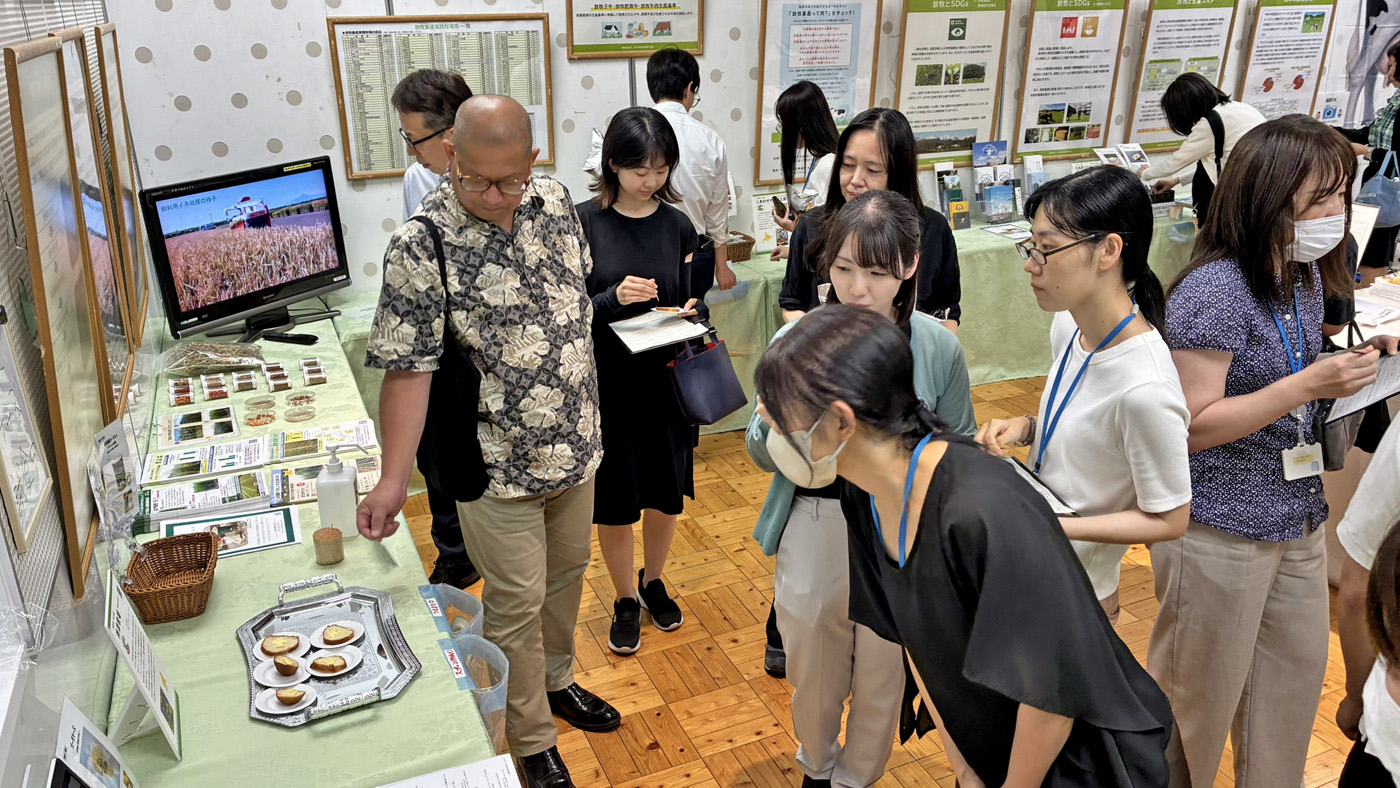 放牧チーズの試食に集まる人たち