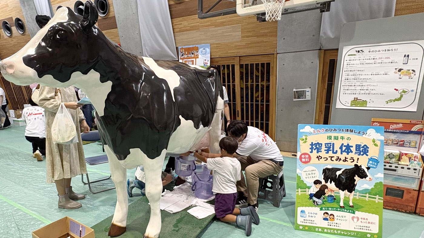 一番人気の搾乳体験