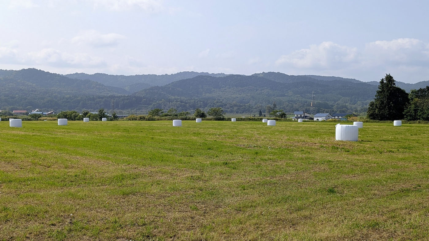 収穫が終わった採草地（9月4日に上川管内で撮影）